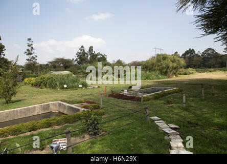 Bodenfilter Abwasserbehandlung alle Longonot Gartenbau Ltd Naivasha, Kenia Stockfoto