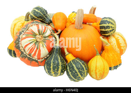 Gruppe von herbstlichen Kalebassen - Kürbisse, Türken-Turban-Squash und gemischte Zier Kürbisse - isoliert auf weißem Hintergrund Stockfoto