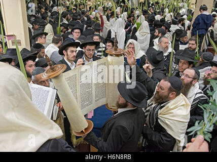 Einen religiösen jüdischen Mann Anheben einer Tora am Morgen Sukkot Dienstleistungen im Crown Heigfhts, Brooklyn, New York Stockfoto