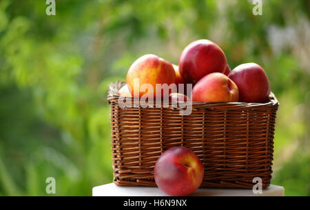 Obst und Gemüse Stockfoto