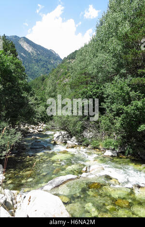 Sant Nicolau Fluss im Aigüestortes Nationalpark in den katalanischen Pyrenäen, Spanien Stockfoto