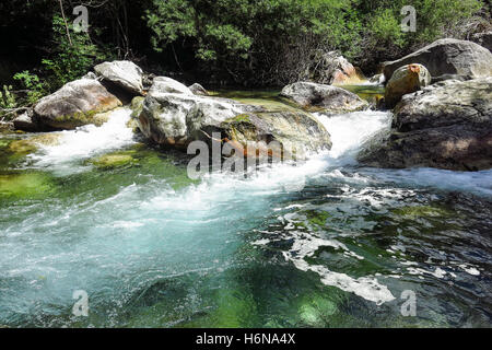 Sant Nicolau Fluss im Aigüestortes Nationalpark in den katalanischen Pyrenäen, Spanien Stockfoto