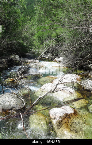 Sant Nicolau Fluss im Aigüestortes Nationalpark in den katalanischen Pyrenäen, Spanien Stockfoto