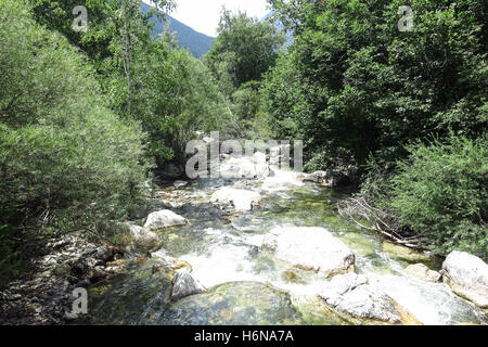 Sant Nicolau Fluss im Aigüestortes Nationalpark in den katalanischen Pyrenäen, Spanien Stockfoto