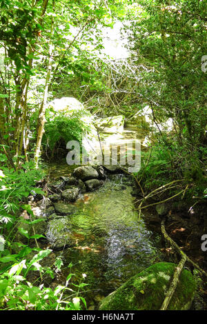 Sant Nicolau Fluss im Aigüestortes Nationalpark in den katalanischen Pyrenäen, Spanien Stockfoto