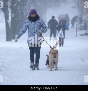 Kryvyi Rih, Ukraine - Januar, 17, 2016: Frau in motley Jacke und violetter Deckel mit zwei Hunden auf dem Gehweg während des s Stockfoto