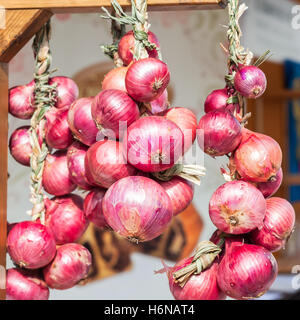 Rote Zwiebel Zöpfen in Italien in den Bauernmarkt verkauft. Stockfoto