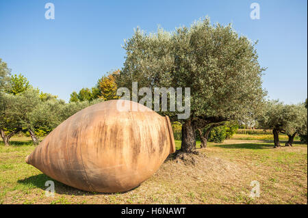 Große Terrakotta-Gefäß für Olivenöl und Bäume im Feld Stockfoto