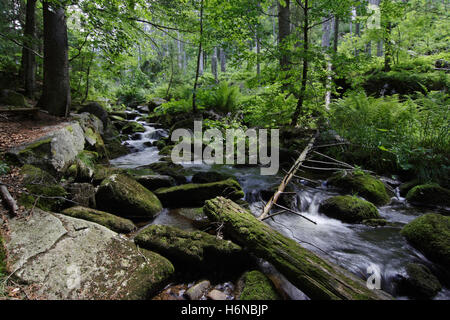 Flüsse Stockfoto