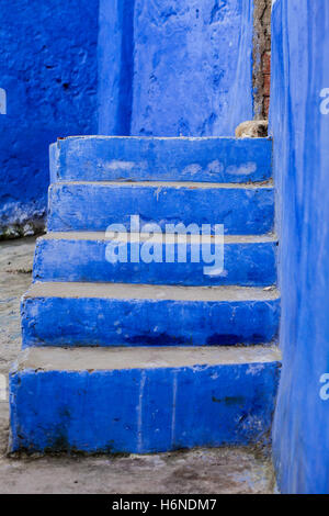 Blaue Stiege führt zum Eingang des Hauses Stockfoto