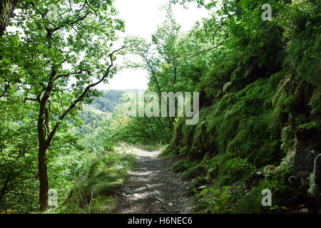 Wanderweg in Deutschland (Lieserpfad) Stockfoto