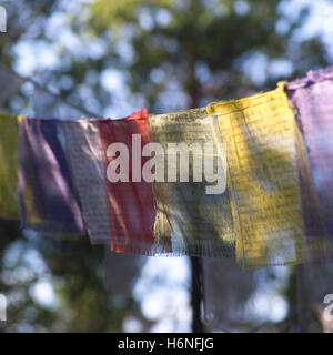 Farbe farbig bunte wunderschöne vielfältige farbenprächtige Usa Material Medikament Anästhesie süchtig machende Droge Textil Textilien Stockfoto