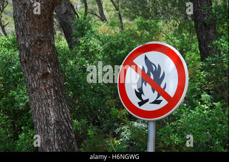 Natur-Umwelt Stockfoto