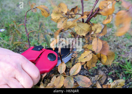 Nahaufnahmen von Körperteilen Stockfoto