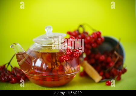 heißen Tee Viburnum in Glas Stockfoto