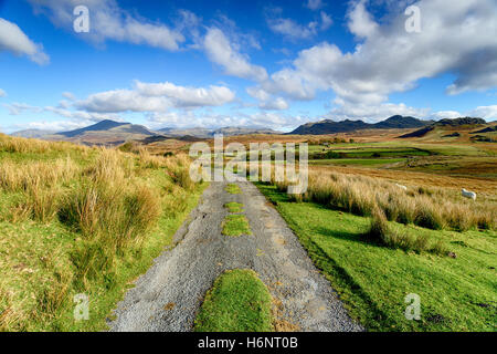 Ein Feldweg führt über das Moor zu Bergen am Birker fiel im Lake District National Park in Cumbria Stockfoto
