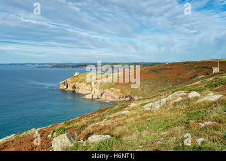 Die Klippen von Rinsey Kopf in der Nähe von Porthleven an der Küste von Cornwall Stockfoto