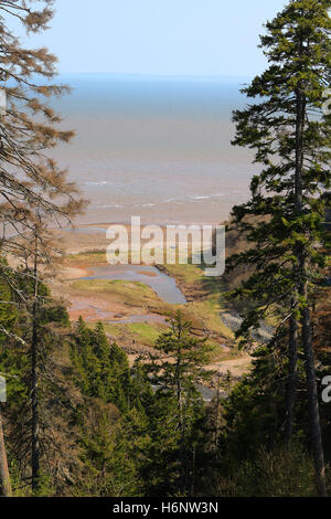 Unberührte Long Beach auf den Fundy Trail Parkway in New Brunswick, Kanada Stockfoto