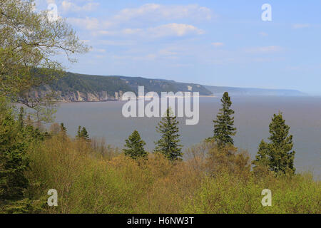 Unberührte Strände an der Küste des Fundy Trail Parkway in New Brunswick, Kanada Stockfoto