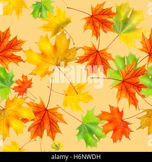nahtlose Muster der farbigen Hintergrund gemacht von gefallenen Herbst Blätter Stockfoto