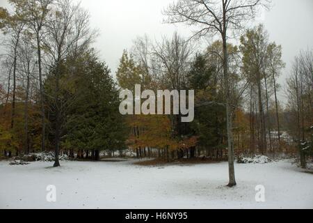 Nach dem ersten Schnee im Oktober Stockfoto