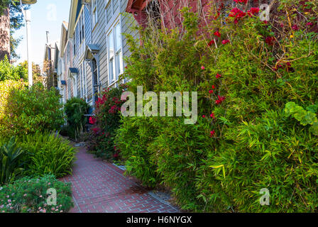 San Francisco, CA, USA, Straßenszenen, bunte Blumengärten, viktorianische Stadthäuser, Cottage Row Garden, in Pacific Heights, lokale Viertel, Gentrifizierung, städtischer Vorgarten, Straße Stockfoto