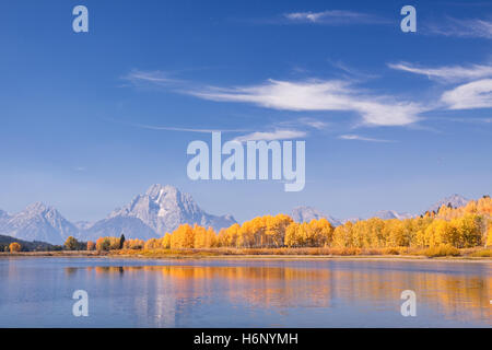 Mount Moran steht über mehrere hell orange und gelbe Espe Bäume über den Snake River bei Oxbow Bend im Grand Teton National Park Stockfoto