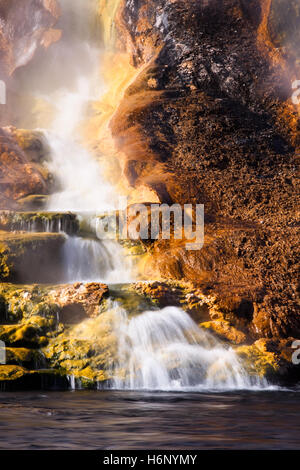 Ein kleiner Wasserfall aus einem Hotspring im Yellowstone-Nationalpark fließt nach unten eine Felsformation - gebeizt viele Farben aus der Bergmann Stockfoto