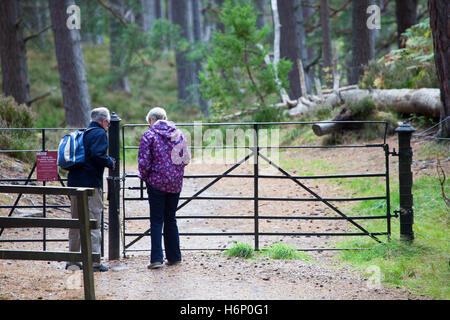 Wanderer zu Fuß durch geschlossene Tor auf dem Weg die Konturen ein Eilein Loch auf dem Rothiemurchus Estate, Schottland Stockfoto