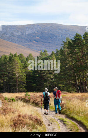 Wanderer geniessen Herbst Wetter, da sie durch die Rothiemurchus Estate Wanderung in Richtung Pass, geht in Richtung Lairig Ghru vom Loch ein Eilein Stockfoto