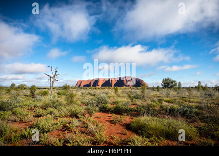 Wolken über Uluru in den frühen Morgenstunden Stockfoto