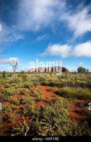 Wolken über Uluru in den frühen Morgenstunden Stockfoto