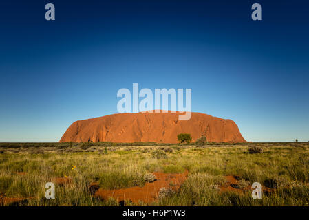 Sonnenuntergang am Uluru bei klarem Himmel Stockfoto