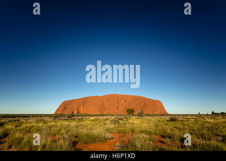 Sonnenuntergang am Uluru bei klarem Himmel Stockfoto