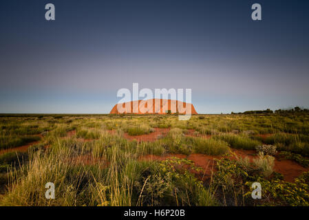 Sonnenuntergang am Uluru bei klarem Himmel Stockfoto