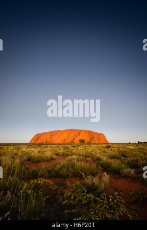 Sonnenuntergang am Uluru bei klarem Himmel Stockfoto