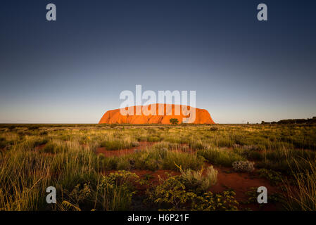 Sonnenuntergang am Uluru bei klarem Himmel Stockfoto