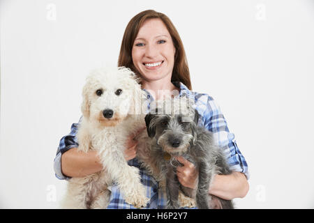 Studioaufnahme von Frau mit zwei Haustier Lurcher Hunde Stockfoto