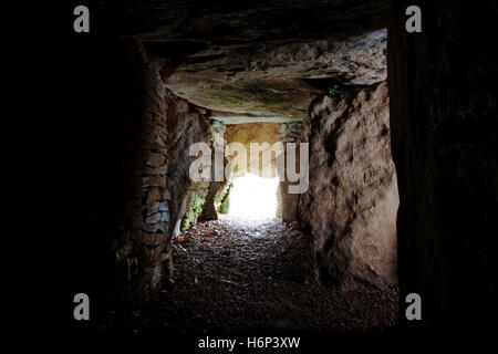 Uley Long Barrow (Hetty Pegler Tump): Ansicht E aus terminal Kammer Galerie Eingang mit Platte Aufteilung SW & SE Nebenräume auf R. Stockfoto