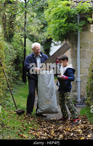 Großvater und Enkel Rechen Herbstlaub im Garten der Familie nach Hause iNorth Yorkshire, England, UK Stockfoto