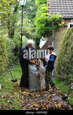 Großvater und Enkel Rechen Herbstlaub im Garten der Familie nach Hause iNorth Yorkshire, England, UK Stockfoto