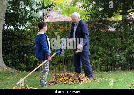 Großvater und Enkel Rechen Herbstlaub im Garten der Familie nach Hause iNorth Yorkshire, England, UK Stockfoto