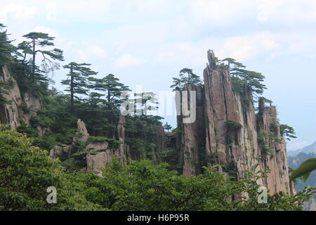 Interessante Felsen und Bäume in huangshan (gelb), Provinz Anhui, China Stockfoto