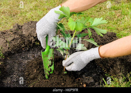 Nahaufnahmen von Körperteilen Stockfoto