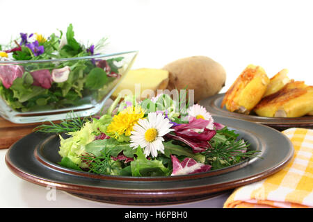 Wildkräuter-Salat Stockfoto