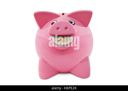 Einsparungen Währung Euro Finanzen Einsparungen Investment-banking-Konto rosa Sparschwein Piggy Bank Rucklage Schwein finanzen Stockfoto