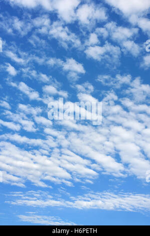 Wolke Wolken nur Firmament Himmel Hintergrund Hintergrund blau Anordnung schöne beauteously schöne große große enorm Extreme Stockfoto