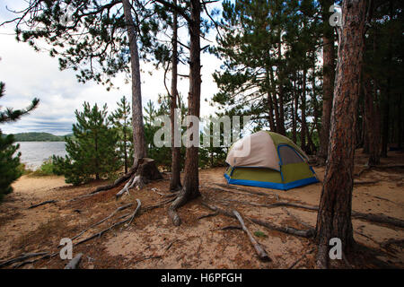 Baum Bäume Kiefer Strand Meer das Strand Küste Wald Zelt camp Wilderness Camp Zelten Sand Sand blau schöne beauteously Stockfoto