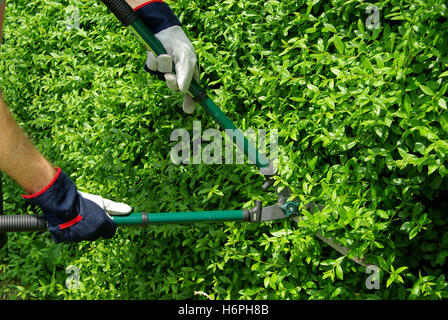 Nahaufnahmen von Körperteilen Stockfoto