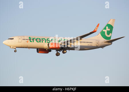 SCHIPHOL, AMSTERDAM, Niederlande - Mai 1, 2016: Boeing 737 von Transavia Fluggesellschaft landet auf dem internationalen Flughafen Schiphol. Stockfoto